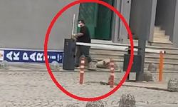 Başıboş köpekleri sürükleyerek toplayan belediye görevlilerine soruşturma