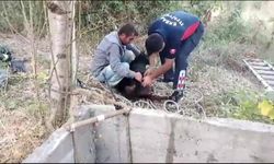 Kuyuya düşen keçiyi itfaiye kurtardı
