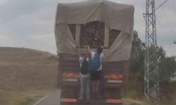 Odun yüklü kamyonun arkasında çocukların tehlikeli yolculuğu