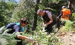 Yedigöller'den 90 poşet çöp toplandı
