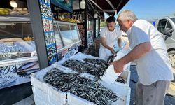 Hamsinin fiyatı 20 liraya kadar düştü