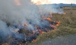 Örtü yangınına hortumla müdahale ettiler