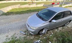 Sokak köpekleri park halindeki araca zarar verdi