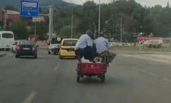Tehlikeli yolculuklar kamerada