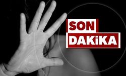 Zonguldak’ta çocuk pornosuna 9 gözaltı