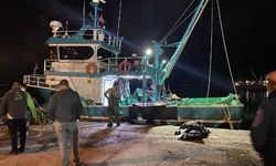 Balıkçıların ağına takılan cesedin kimlik tespiti yapılamadı