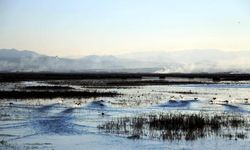 'Kızılırmak Deltası Kuş Cenneti, Türkiye'nin doğal zenginliğinin kalbi'