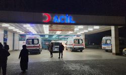 Mantardan zehirlenen 8 kişiden 7'si, taburcu oldu
