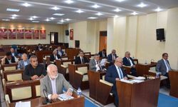 335 milyon 368 bin TL KÖYDES ödeneği verildi