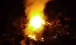 Alevler geceyi aydınlattı: 2 ev ve 22 büyükbaş hayvan yandı
