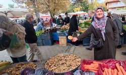 Kanlıca mantarı 200 liradan satılıyor