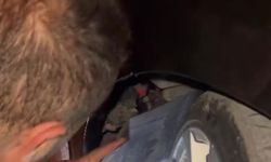 Otomobilin kaputuna giren kedi uzun uğraşlar sonucu çıkartıldı