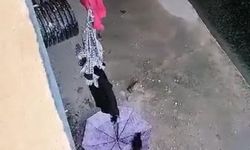 Dereye düşen kedi şemsiye ile kurtarıldı