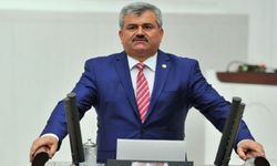 Faruk Çaturoğlu: Cüruf sorun olmaktan çıkacak