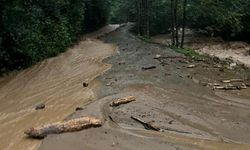 Sağanak yağışta dereler taştı, heyelanlar meydana geldi: 23 köy yolu ulaşıma kapandı