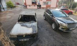 Park halinde yanan otomobil demir yığınına döndü
