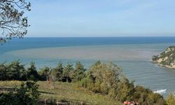 Bartın Irmağı'ndan akan çamurlu su, denizin rengini değiştirdi