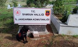 Dedesinin kabrine uyuşturucu sakladığını itiraf eden sanığa 15 yıl hapis