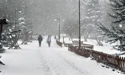Gölcük ve Abant parklarında kar yağışı