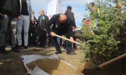 25 bin fidan toprakla buluşturuldu