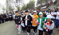 83 farklı noktada 50 bin adet fidan dikildi