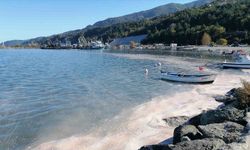 Deniz yüzeyi sarı tabakayla kaplandı, etrafı kötü koku sardı