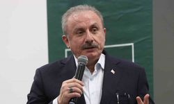 "Filistin’de olan bitenler Türkiye’nin topraklarını da içine alacak olan bir hedefin başlangıç