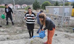Hastane bahçesine fidan diktiler