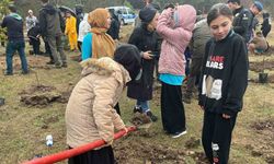 Yağmura aldırış etmediler, Cumhuriyet’in 100. yılı için fidan diktiler