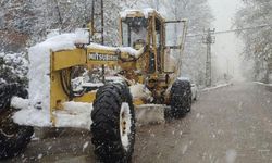 Kar esareti: 24 köy yolu ulaşıma kapandı