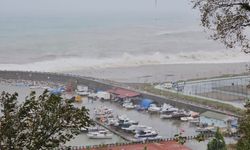 Sağanak ve fırtınada ağaçlar devrildi, 5 metre dalga oluştu