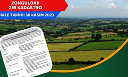 2/B kadastro çalışmaları başlayacak: İhale tarihi belli oldu