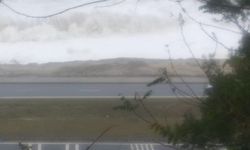 Kilimli Sahil Yolu’nda büyük tehlike: Dolgu gitti!