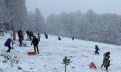 1224 metre rakımlı dağ beyaza büründü