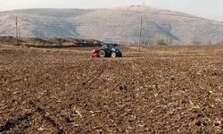 Belediye arazilerine buğday ekimi yapıldı