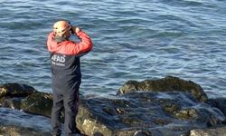 Odun toplamaya gittiği sahilde kaybolan kadını arama çalışmalarında 6'ncı gün