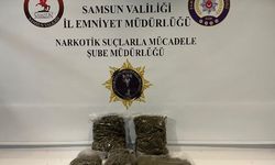 TIR'daki 3 kilo 950 gram uyuşturucuyu Tony buldu