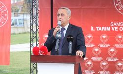 Türkiye’de 2022 yılında 118 bin 297 ton bal üretildi