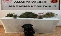 Uyuşturucu operasyonu: 2 gözaltı