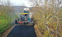 Asfalt çalışmaları hız kesmiyor