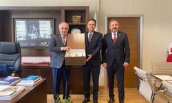 Modern hayvan satış yeri ve kurban kesim alanı yapılıyor