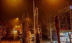 Şehir merkezinin süsü palmiyeler kış sezonuna hazırladı