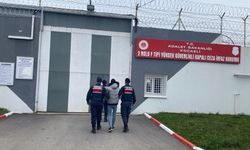 Terör örgütüne operasyon: 1 tutuklama