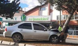 Yoldan çıkan otomobil ağaca çarptı: 1 yaralı
