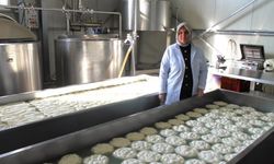 Başvurular 19 Şubat’ta son