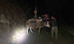 Dere yatağında mahsur kalan inek vinçle kurtarıldı