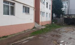 Kardeşini göğsünden bıçakladı: Suç aleti ile yakalandı