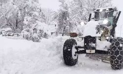 119 köy yolu kardan kapandı