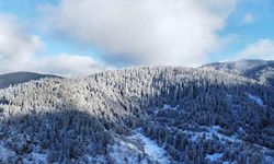 Ilgaz Dağı’nın eteklerindeki yaylalarda kartpostallık görüntüler ortaya çıktı