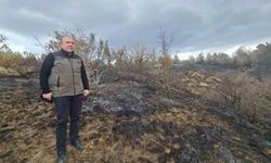 Orman Bölge Müdürü Faruk Bayraktaroğlu çalışmaları inceledi